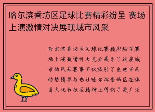 哈尔滨香坊区足球比赛精彩纷呈 赛场上演激情对决展现城市风采