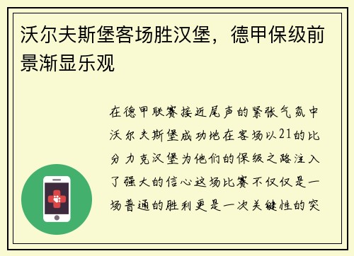 沃尔夫斯堡客场胜汉堡，德甲保级前景渐显乐观