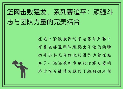 篮网击败猛龙，系列赛追平：顽强斗志与团队力量的完美结合