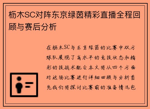 枥木SC对阵东京绿茵精彩直播全程回顾与赛后分析