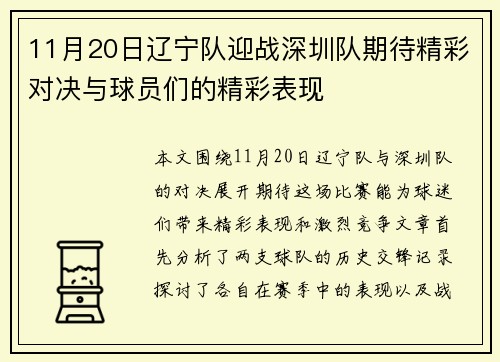 11月20日辽宁队迎战深圳队期待精彩对决与球员们的精彩表现