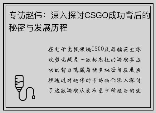专访赵伟：深入探讨CSGO成功背后的秘密与发展历程